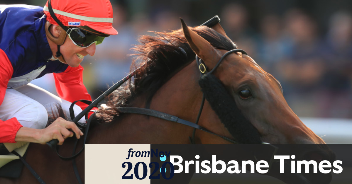 Newcastle races Saturday tips and full preview